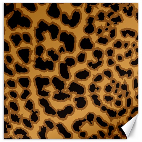 Leopard Print Spots Canvas 12  x 12  from ArtsNow.com 11.4 x11.56  Canvas - 1