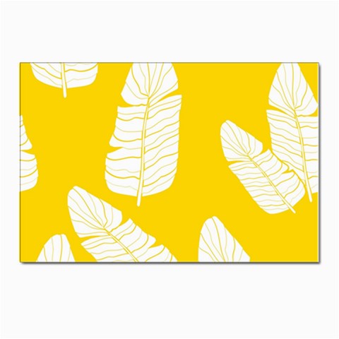 Yellow Banana Leaves Postcard 4 x 6  (Pkg of 10) from ArtsNow.com Front