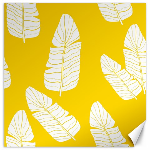 Yellow Banana Leaves Canvas 12  x 12  from ArtsNow.com 11.4 x11.56  Canvas - 1