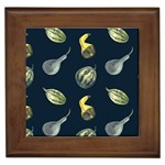 Vintage Vegetables Zucchini Framed Tile