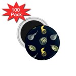 Vintage Vegetables Zucchini 1.75  Magnet (100 pack) 