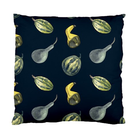 Vintage Vegetables Zucchini Standard Cushion Case (One Side) from ArtsNow.com Front