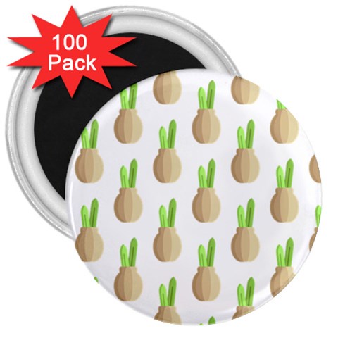 Succulent Vases  3  Magnet (100 pack) from ArtsNow.com Front