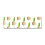 Succulent Vases  Sticker Bumper (10 pack)