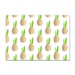 Succulent Vases  Sticker A4 (100 pack)