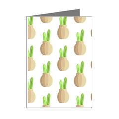 Succulent Vases  Mini Greeting Cards (Pkg of 8) from ArtsNow.com Right