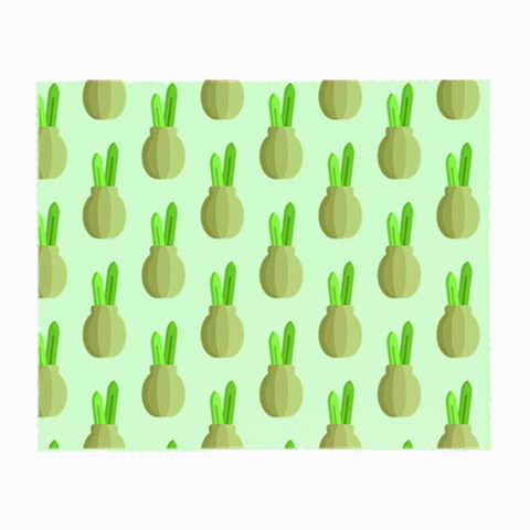 Succulent Vases  Small Glasses Cloth from ArtsNow.com Front