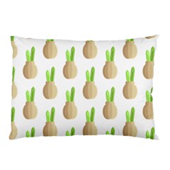 Succulent Vases  Pillow Case (Two Sides) from ArtsNow.com Back