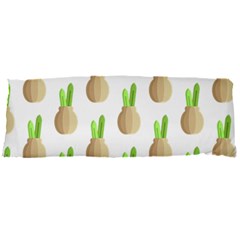 Succulent Vases  Body Pillow Case Dakimakura (Two Sides) from ArtsNow.com Front