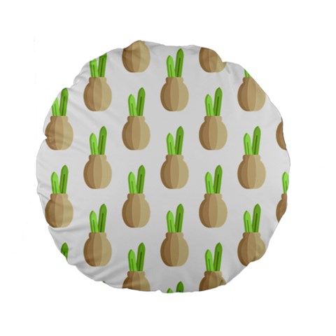 Succulent Vases  Standard 15  Premium Round Cushion  from ArtsNow.com Front