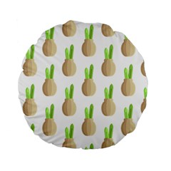 Succulent Vases  Standard 15  Premium Round Cushion  from ArtsNow.com Front