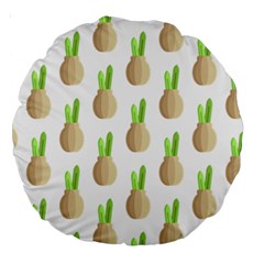 Succulent Vases  Large 18  Premium Round Cushion  from ArtsNow.com Front