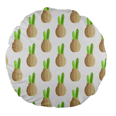 Succulent Vases  Large 18  Premium Round Cushion  from ArtsNow.com Back