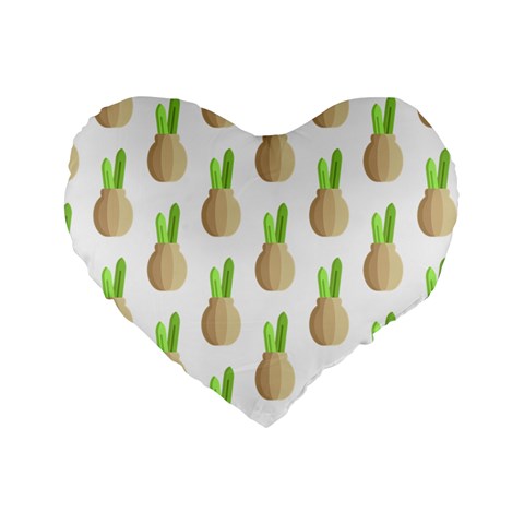 Succulent Vases  Standard 16  Premium Heart Shape Cushion  from ArtsNow.com Front