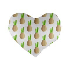 Succulent Vases  Standard 16  Premium Heart Shape Cushion  from ArtsNow.com Front