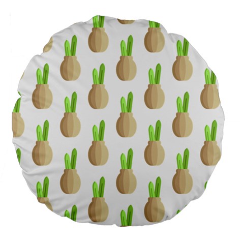 Succulent Vases  Large 18  Premium Flano Round Cushion  from ArtsNow.com Front