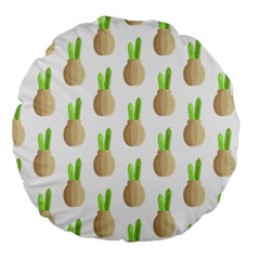 Succulent Vases  Large 18  Premium Flano Round Cushion  from ArtsNow.com Front