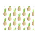 Succulent Vases  Double Sided Flano Blanket (Mini)