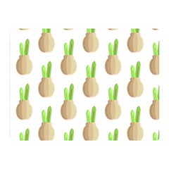 Succulent Vases  Double Sided Flano Blanket (Mini) from ArtsNow.com 35 x27  Blanket Back