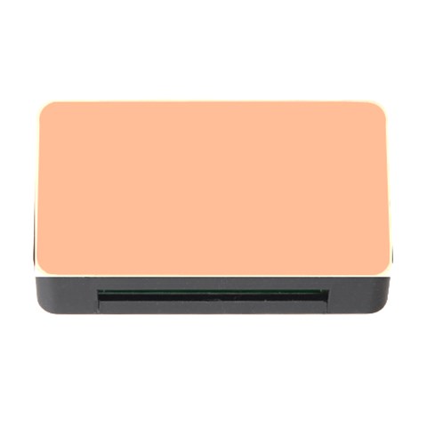 Peach Fuzz 2024 Memory Card Reader with CF from ArtsNow.com Front