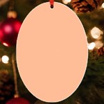 Peach Fuzz 2024 UV Print Acrylic Ornament Oval