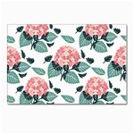 Flowers Hydrangeas Postcard 4 x 6  (Pkg of 10)