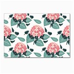 Flowers Hydrangeas Postcards 5  x 7  (Pkg of 10)