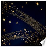 Starsstar Glitter Canvas 12  x 12 