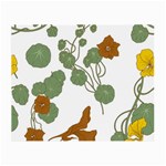 Nasturtium Flowers Plant Leaves Small Glasses Cloth