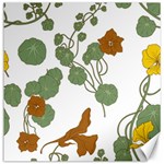 Nasturtium Flowers Plant Leaves Canvas 12  x 12 