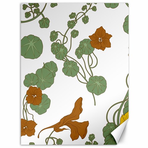 Nasturtium Flowers Plant Leaves Canvas 36  x 48  from ArtsNow.com 35.26 x46.15  Canvas - 1