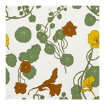 Nasturtium Flowers Plant Leaves Banner and Sign 3  x 3 