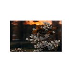 White Flower Sticker Rectangular (10 pack)