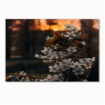 White Flower Postcard 4 x 6  (Pkg of 10)