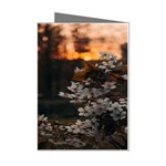 White Flower Mini Greeting Cards (Pkg of 8)