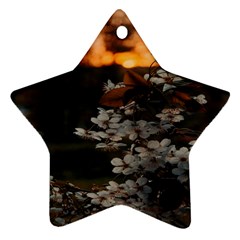 White Flower Star Ornament (Two Sides) from ArtsNow.com Back