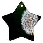 White Flower Ornament (Star)