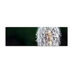 White Flower Sticker Bumper (10 pack)