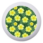 Bloom Flowering Yellow Blade Green Dento Box with Mirror