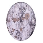 Cracked Marble Symphony Pattern Design Oval Glass Fridge Magnet (4 pack)