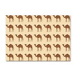 Camel Pattern Design Clothing Sticker A4 (10 pack)