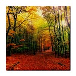 Forest Woods Autumn Nature Tile Coaster