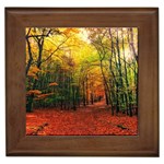 Forest Woods Autumn Nature Framed Tile