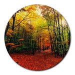 Forest Woods Autumn Nature Round Mousepad