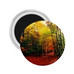 Forest Woods Autumn Nature 2.25  Magnets