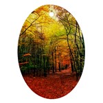 Forest Woods Autumn Nature Ornament (Oval)