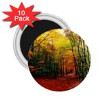 Forest Woods Autumn Nature 2.25  Magnets (10 pack) 