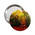 Forest Woods Autumn Nature 2.25  Handbag Mirrors