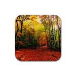 Forest Woods Autumn Nature Rubber Coaster (Square)