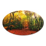 Forest Woods Autumn Nature Oval Magnet